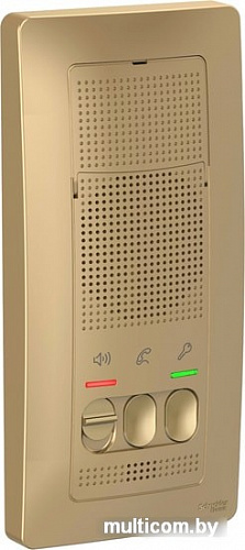 Вызывная панель Schneider Electric Blanca BLNDA000014