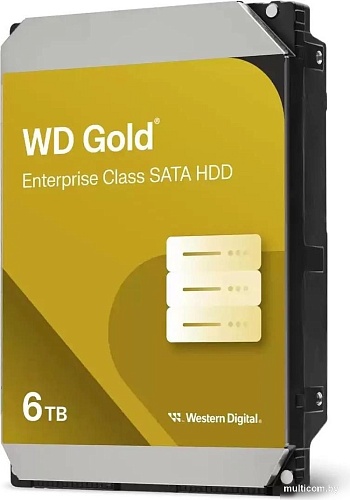 WD Gold 6TB WD6004FRYZ