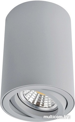 Точечный светильник Arte Lamp Sentry A1560PL-1GY