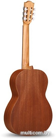 Акустическая гитара Alhambra Student Z-Nature