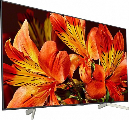 Телевизор Sony KD-85XF8596
