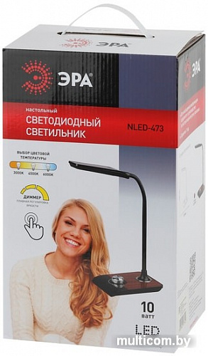 Лампа ЭРА NLED-473-10W-BK