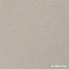 Кухонная мойка Aquasanita Bella SQB102AW (black metallic 601)
