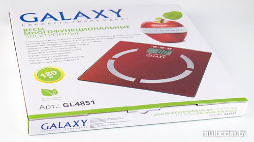 Напольные весы Galaxy GL4851