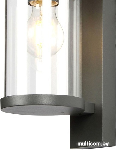 Уличный настенный светильник Favourite Lukturis 3038-1W