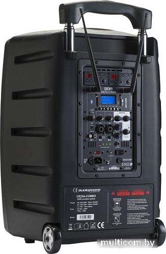 Активная акустика Audiophony CR25A-COMBO-F8