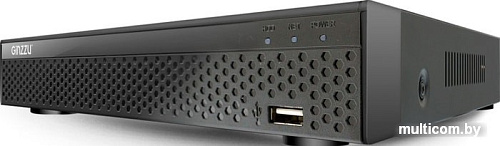 Сетевой видеорегистратор Ginzzu HP-810