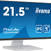 Монитор Iiyama ProLite T2252MSC-W2