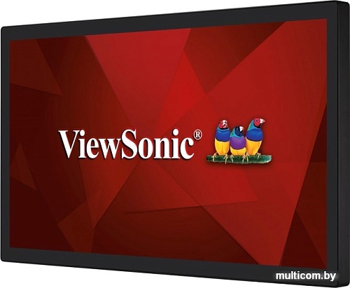 Интерактивная панель ViewSonic TD3207