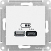 Розетка USB Schneider Electric AtlasDesign ATN001339