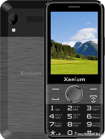 Телефон Xenium X800 (черный/серый)