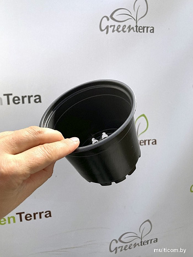 Кассета/горшок для рассады GreenTerra 12x9 см (0.7 л, 100 шт)