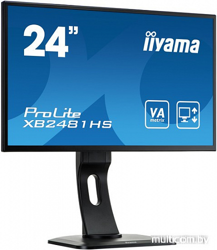 Монитор Iiyama ProLite XB2481HS-B1