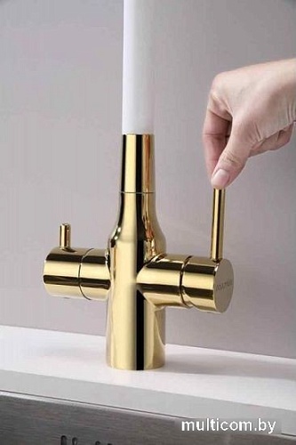 Смеситель Paulmark Salix Sa213419-Gw (золото/белый)
