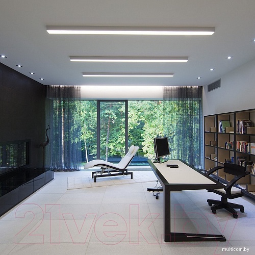 Подсветка для картин Elektrostandard 101-100-30-103 20W 6500K (матовое серебро)