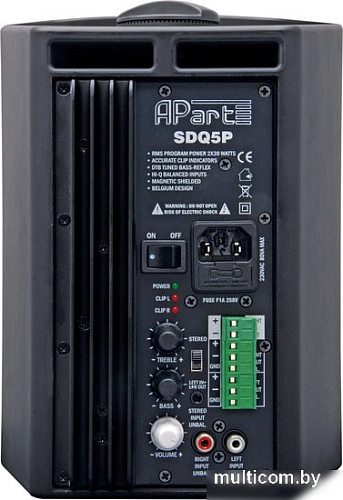 Акустика Apart Audio SDQ5P-BL