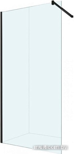 Душевая стенка Berges Wasserhaus Sky Black 800 064008