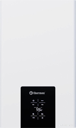 Отопительный котел Thermex Blaze FH 40