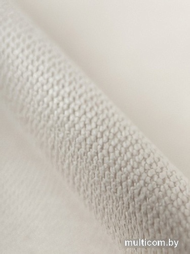 Штора Amore Mio RR 207-01 2x2.7 м 34500 (шампань/люверсы)