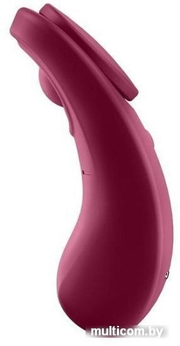 Satisfyer Sexy Secret J2018-98