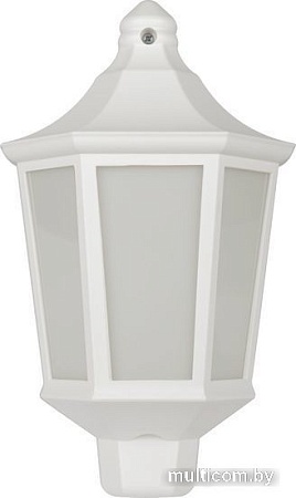 Уличный настенный светильник ЭРА НБУ 06-60-003 Ника Б0061160