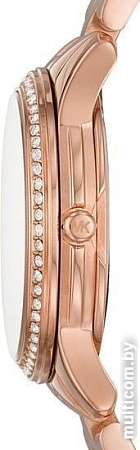 Наручные часы Michael Kors MK6619