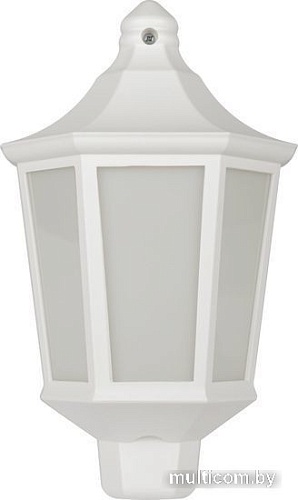 Уличный настенный светильник ЭРА НБУ 06-60-003 Ника Б0061160