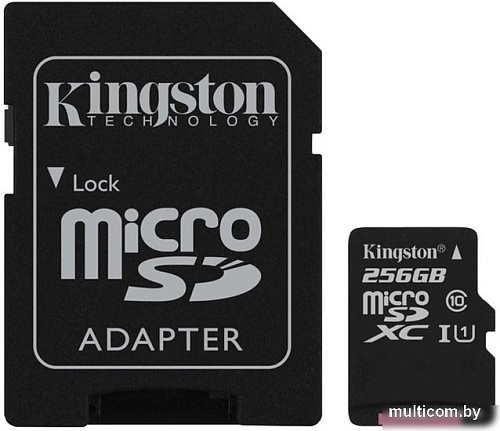 Карта памяти Kingston Canvas Select SDCS/256GB microSDXC 256GB (с адаптером)