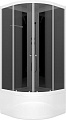 Душевая кабина Domani-Spa Delight Slim 110 High DS01DS110HBT00