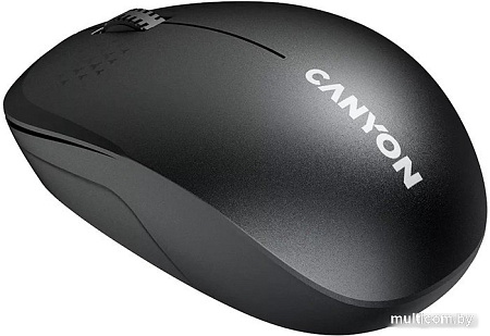 Мышь Canyon MW-04 (черный)