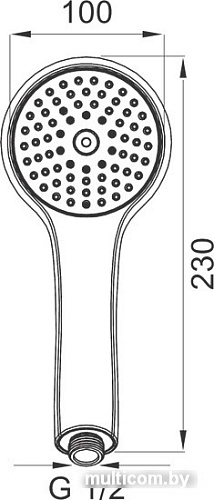 Душевая лейка Ferro Dritto S105