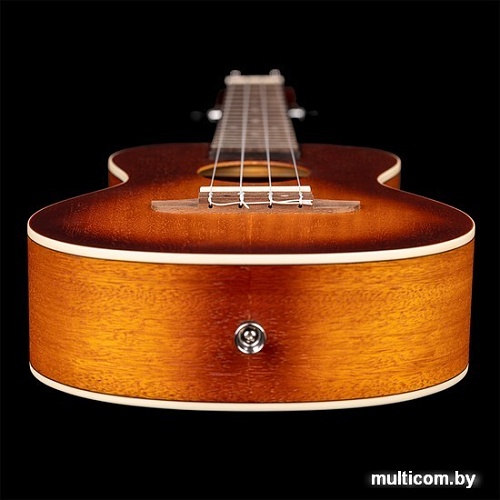 Укулеле Ortega Earth RUDAWN