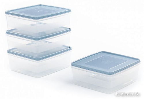 Набор контейнеров Полесье №13 2л с крышками 73706 (4 шт, прозрачный/серо-голубой)