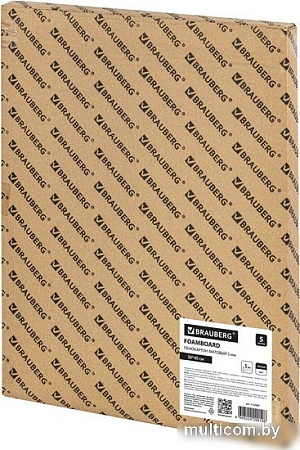 Пенокартон BRAUBERG матовая 30x40 410 г/м2 5 л 112469