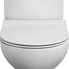Унитаз напольный Cersanit Nature Clean On 011 3/5 DPL EO Slim 65410 (чаша)