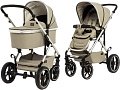 Универсальная коляска Moon Nuova 2020 (2 в 1, moss grey)