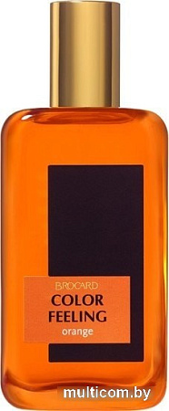 Brocard Color Feeling Orange EdT (100 мл)