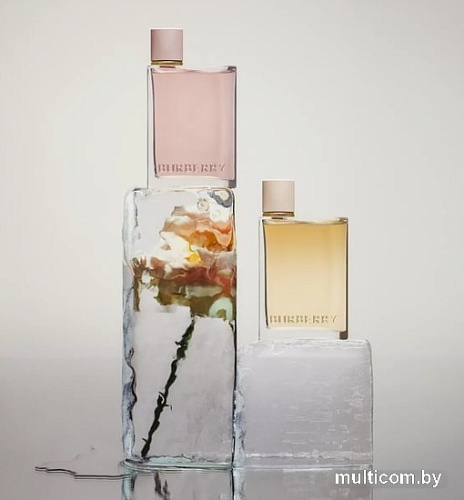 Burberry Her EdP (100 мл)