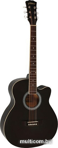 Акустическая гитара Elitaro E4010 BK