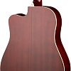 Акустическая гитара Naranda DG220CWRS