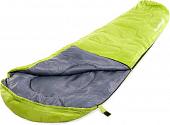 Спальный мешок Acamper Кокон 300г/м2 (зеленый/серый)