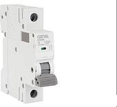 Выключатель автоматический GEYA GYM9H-1P-6C 1P 6A C 10kA 1M GYM9H1P6C