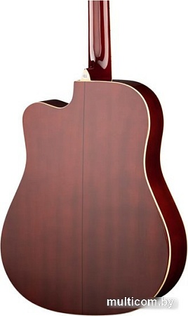 Акустическая гитара Naranda DG220CWRS