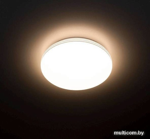 Припотолочная люстра Citilux Симпла CL71424SV