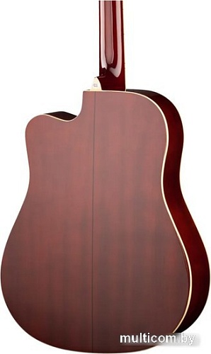 Акустическая гитара Naranda DG220CWRS