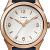 Наручные часы Timex TW2R91200