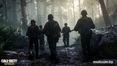 Call of Duty: WWII (без русской озвучки) для PlayStation 4