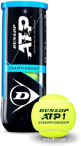 Мяч Dunlop ATP Championship (3 шт)