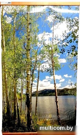 Инфракрасный обогреватель ТеплоМакс Домашний очаг (березки)