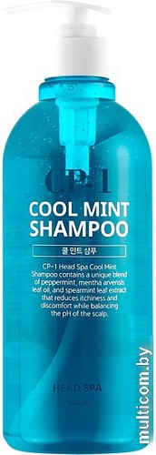 Шампунь Esthetic House CP-1 Head Spa Cool Mint Shampoo 500 мл